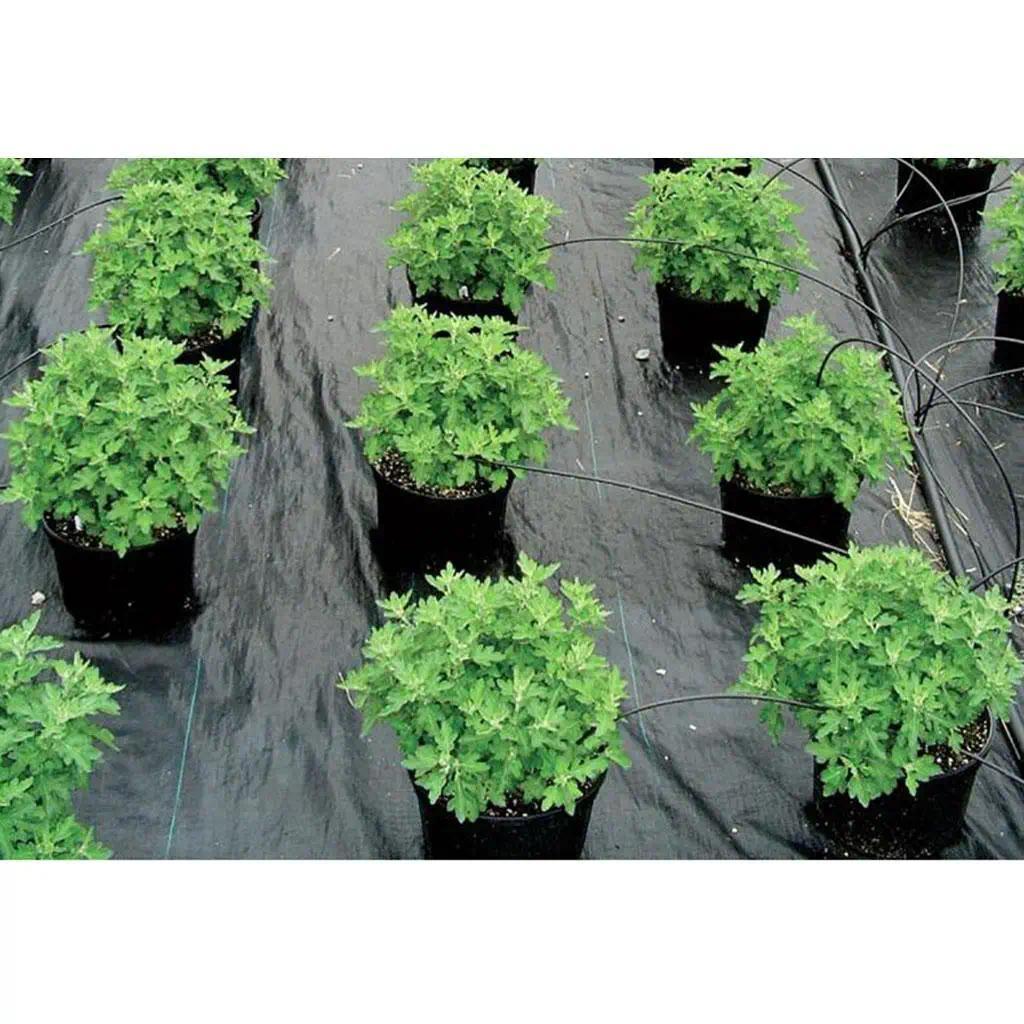 Black Weed Barrier Landscape Fabric Protected Polypropylene