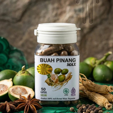 100% ORIGINAL KAPSUL BUAH PINANG MUDA KAPSUL HERBAL TRADISIONAL Kapsul Herbal Buah Pinang 50 Kapsul 