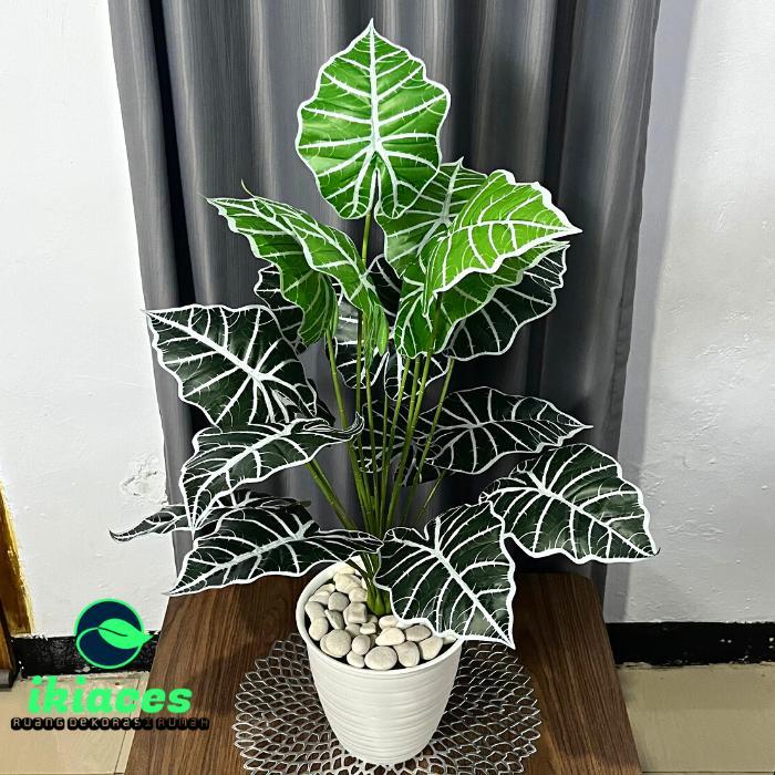 DAUN AGLONEMA ARTIFICIAL DAUN KELADI PLASTIK POT BUNGA HIAS ARTIFISIAL - POT PUTIH