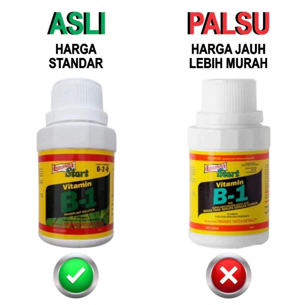 Vit B1 bonsai tanaman bunga