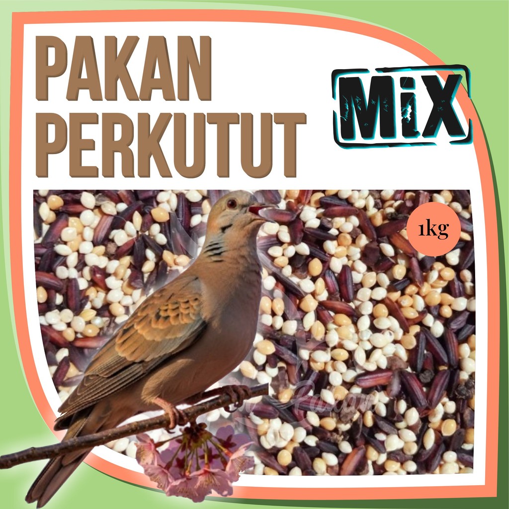 Pakan Perkutut Gacor Berkualitas 1kg Kenari Seed Ketan Hitam Milet Kuning Milet Merah Milet Putih
