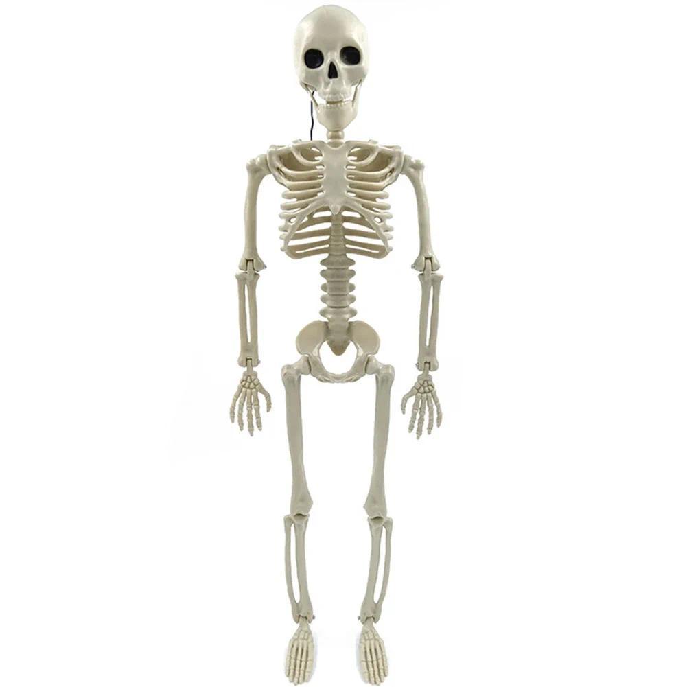 Halloween Decorative Skull Sculpture Movable/Posable Joints Human Skeleton Figure Full Size for Yard