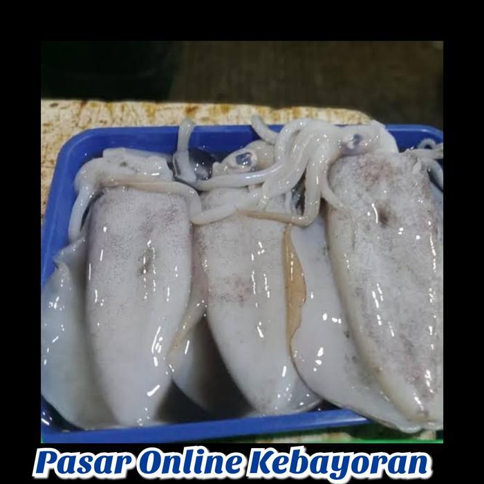 Cumi Semampar Segar - 1 Kg
