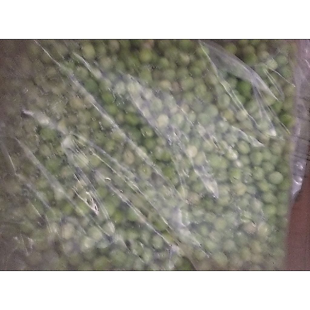 Kacang Polong Ercis segar