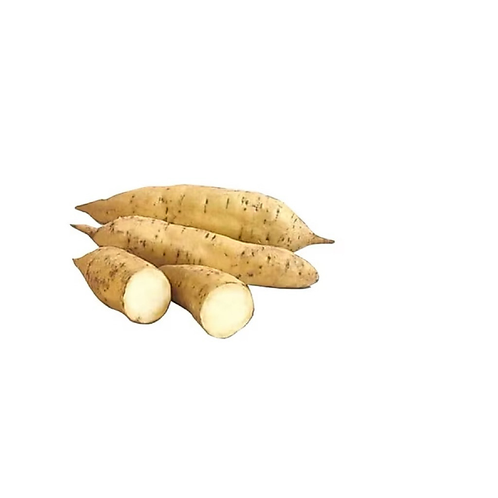 UBI CELEMBU /UBI MADU