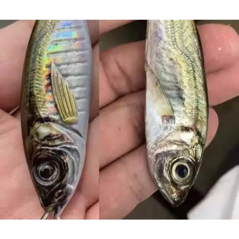 umpan pancing jigging metal jig bionic jigging mirip ikan asli Umpan mancing Jigging killer lure DUO