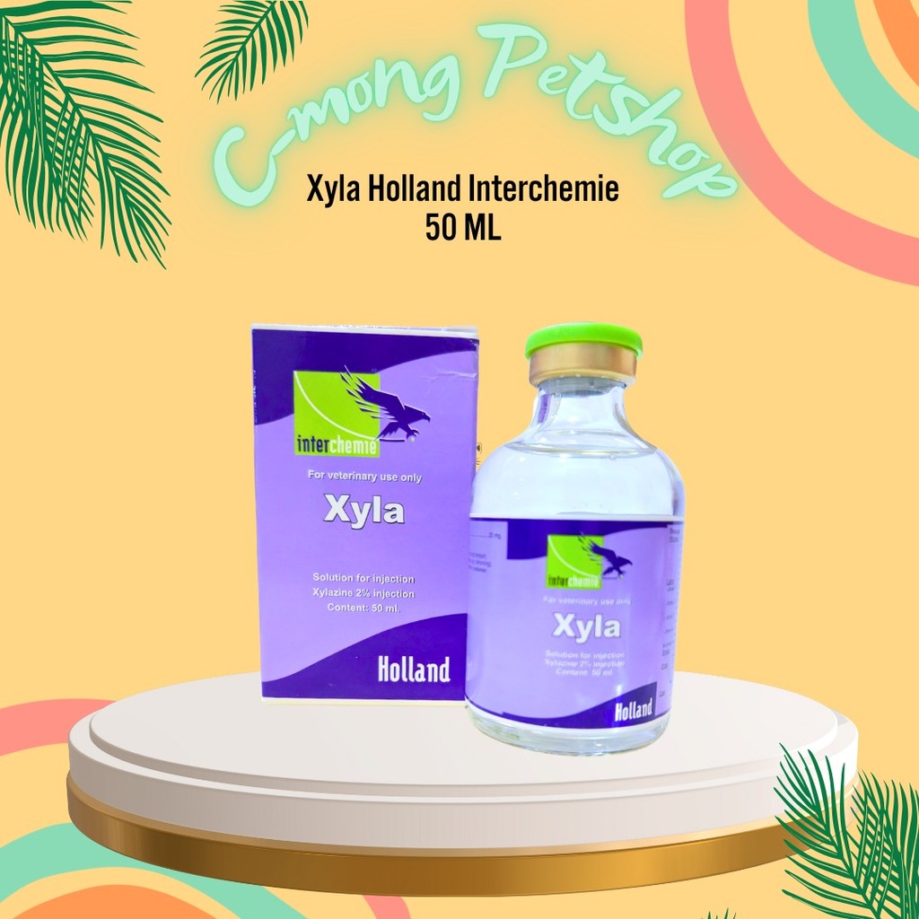 Xyla Holland Interchemie 50ml