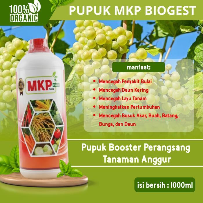 Pupuk MKP Biogest Cair Organik Premium 1L Pupuk Penumbuh & Pelebat Daun, Bunga, Buah Tanaman Anggur 