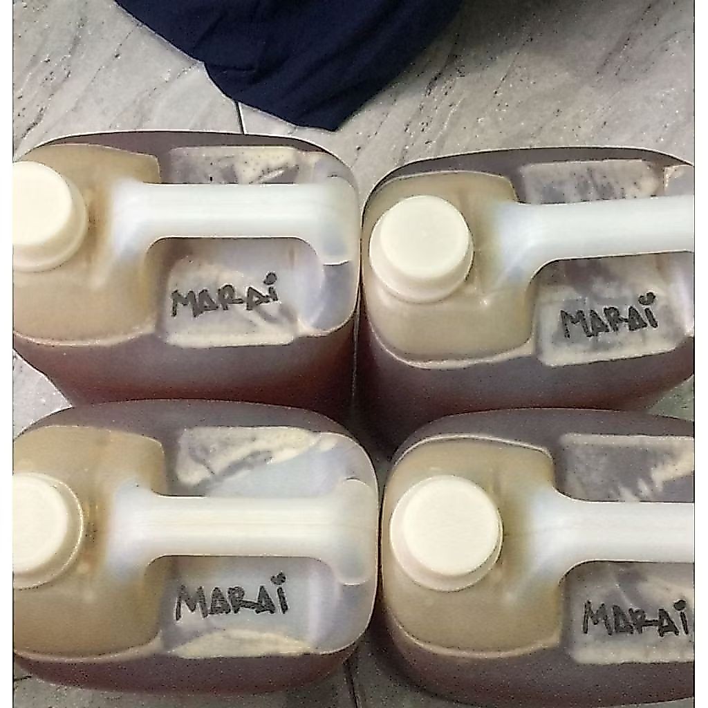 Madu Yaman Mara'i Asli & murni 7 kg/ madu yaman maro'i/madu yaman asli