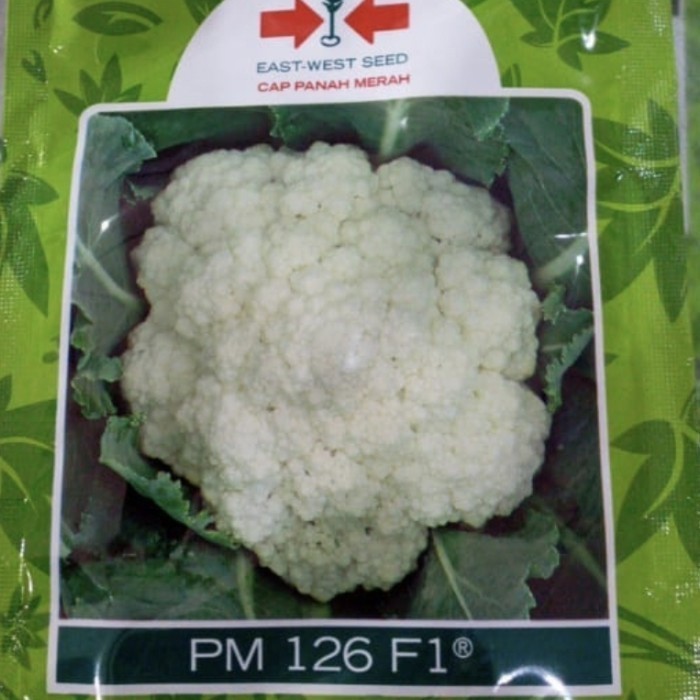 Benih bunga kol PM126 F1 10 gram bungkul hibrida pm 126 panah merah kembang kol pm126 f1 bunga kol d