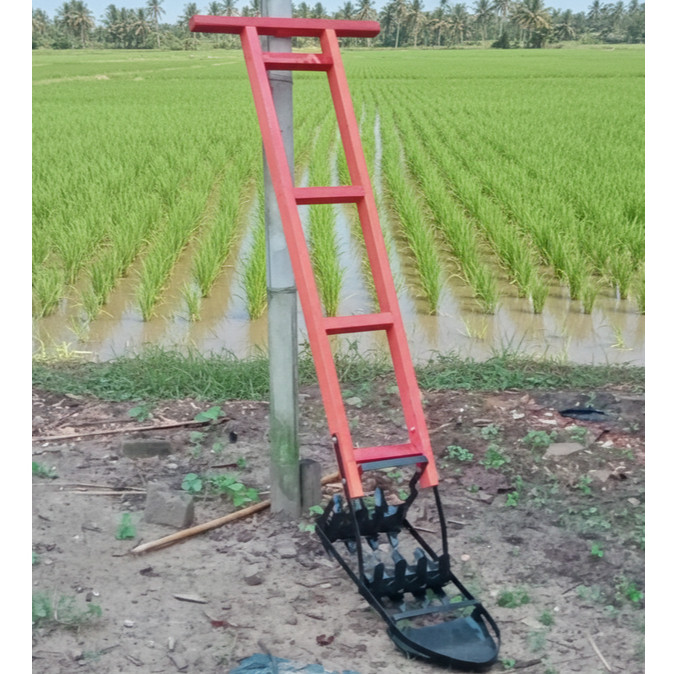 Odrok / Osrok / Gosrok Alat Penyiangan Padi dengan Gagang ( 14 cm) 1510l