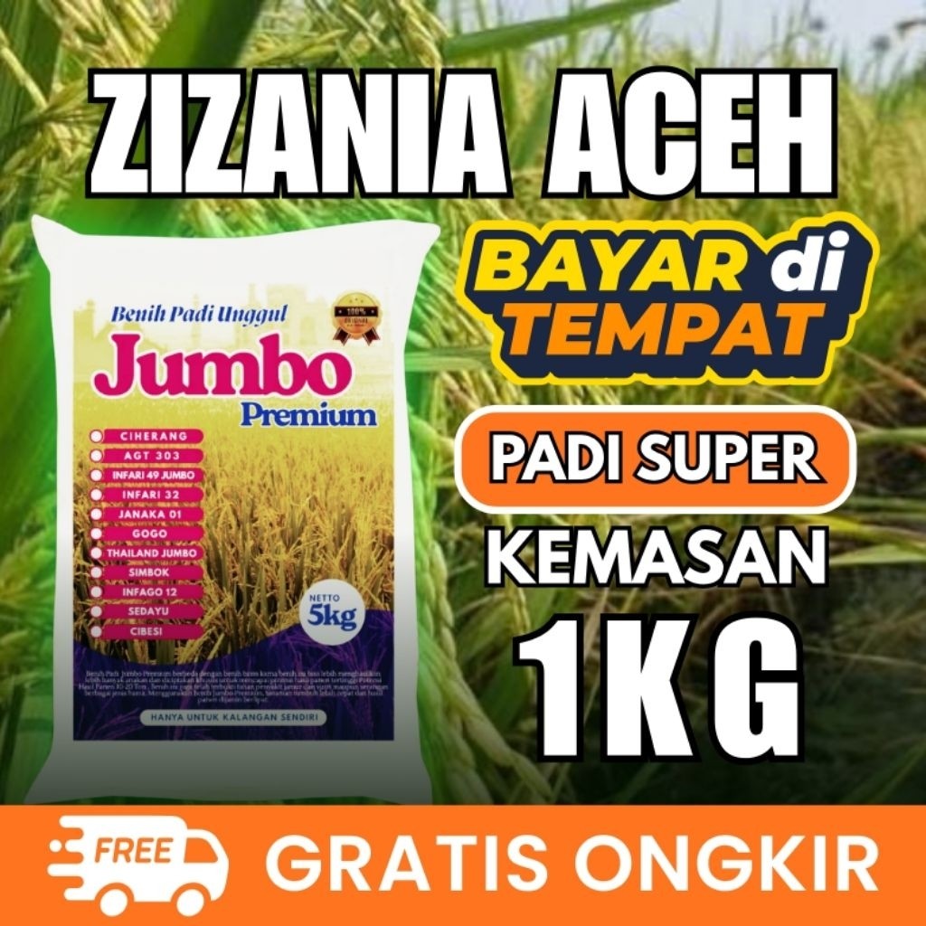 Benih padi unggul zizania aceh original kemasan 1kg Berkualitas