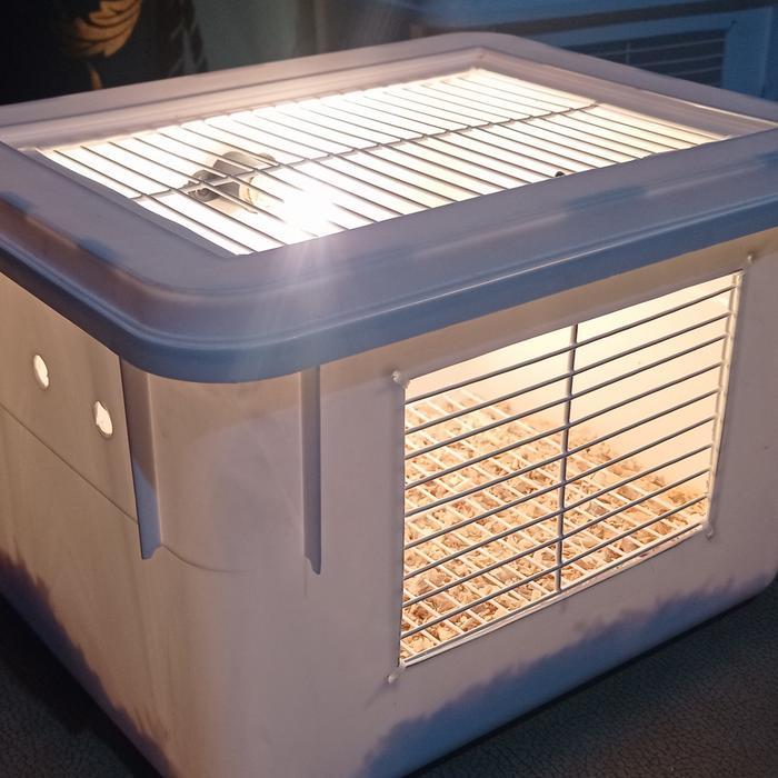 [ fn0tafaejf ] || box lolohan burung anakann