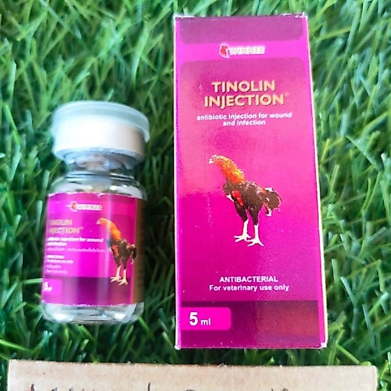 Tinolin Inject Untuk Infeksi Bekas Jalu + Suntikan