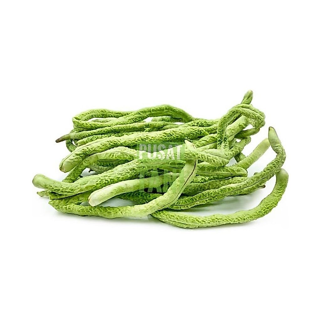 Benih KACANG PANJANG KERITING KALIMANTAN isi 5 butir kemasan repack