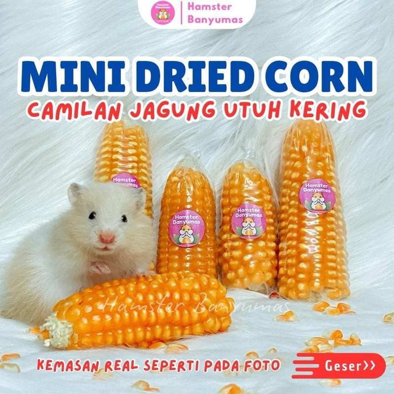 Mini Dried Corn Camilan Jagung Utuh Kering