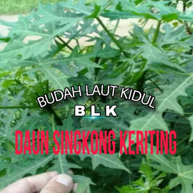 Daun singkong keriting/ Caya Caya | daun caya Caya | per ikat 500g - b.b.b