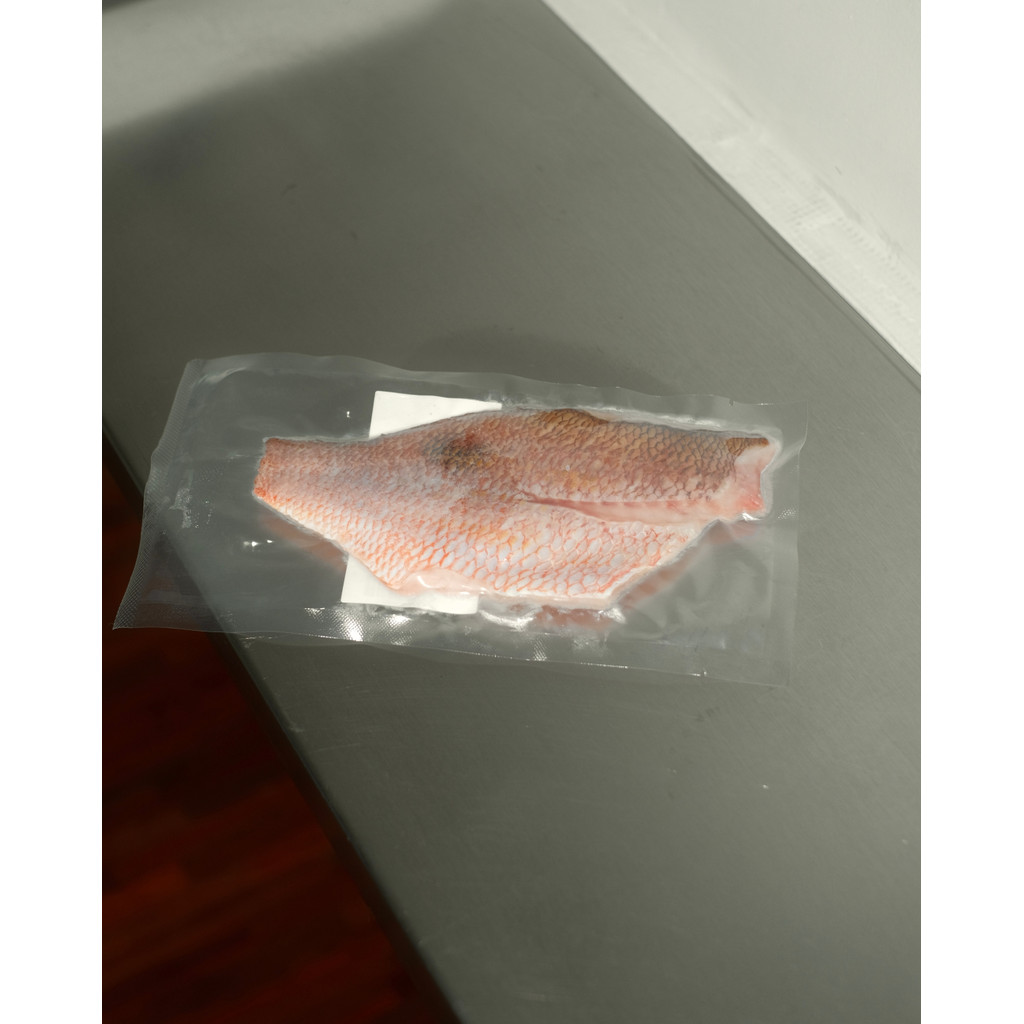 Fillet Ikan Kakap Merah Tompel - Russel's Snapper
