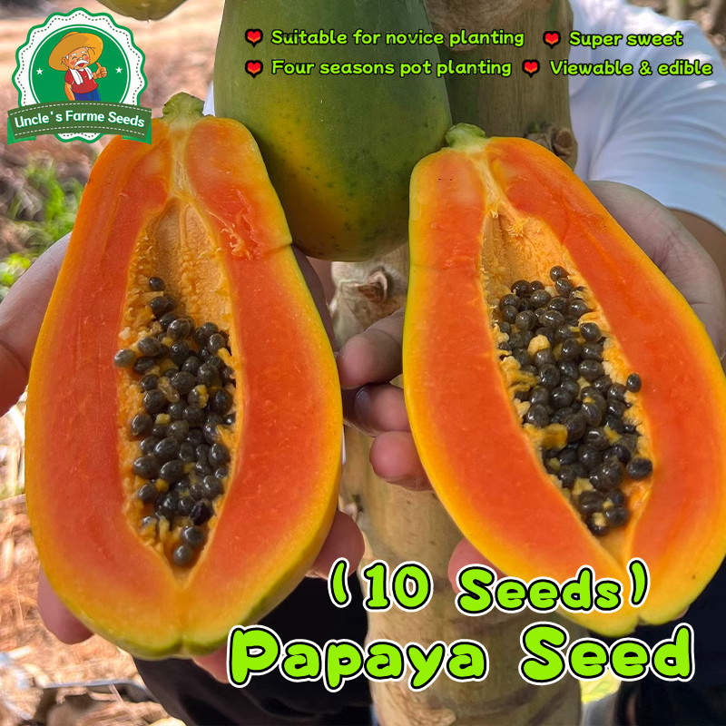 10pcs/pack High Yield Sweet Papaya Seeds for Planting Dwarf Papaya Seeds Papaya Fruit Seeds Fruit Be