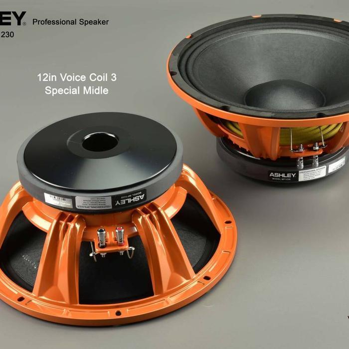 SPEAKER COMPONENT ASHLEY MF1230 MF 1230 MF12 30 ORIGINAL