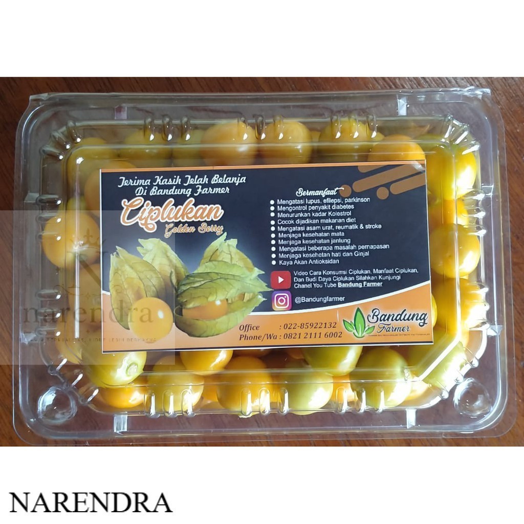 [COD] Jual Buah CIPLUKAN KUPAS 250 Gram Buah Enak Banyak Manfaat --Narendra