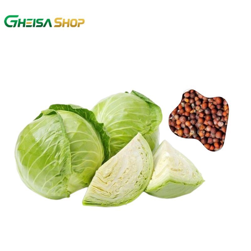 BIBIT/BENIH KUBIS ISI 15 BIJI | BENIH SAYUR KOL UNTUK TANAM KEBUN POLYBAG / BIBIT TANAMAN SAYURAN