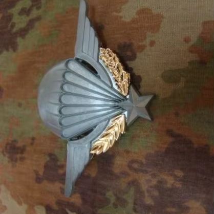 FRANCE ARMY BADGE US ARMY PARACHUTE WINGS MILITARY BADGE PIN WINGS