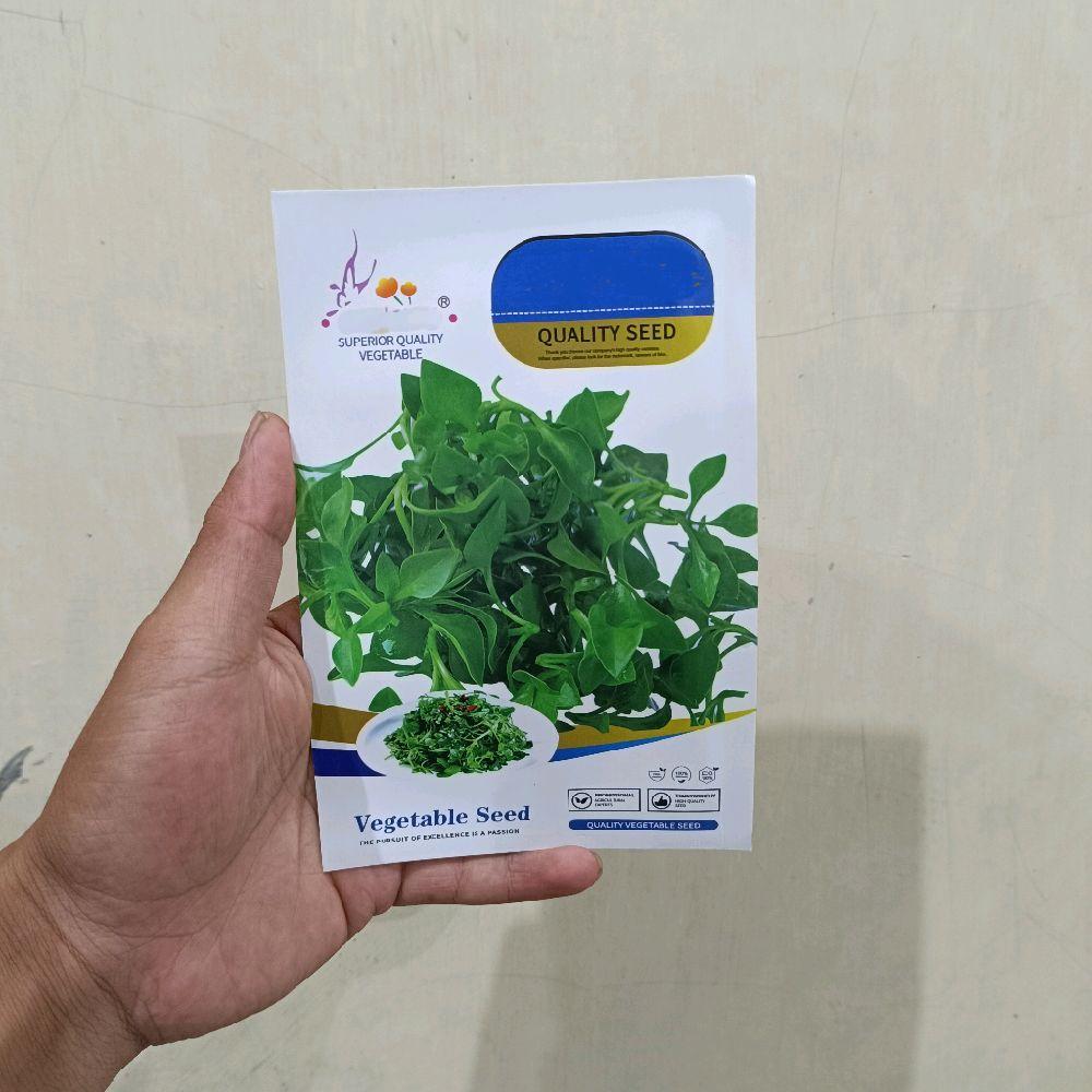 Benih Selada Air – Tanaman Sehat Kaya Nutrisi, Cocok untuk Hidroponik & Pot