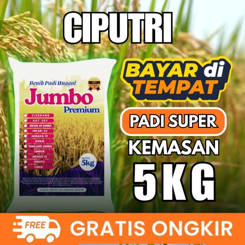 Bibit Padi Unggul Ciputri 5kg