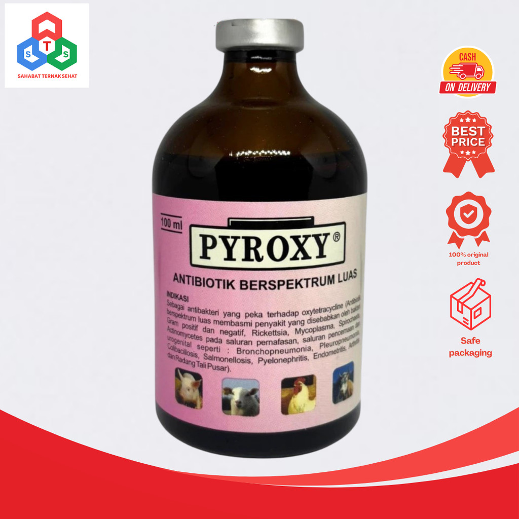 PYROXY antibiotik hewan