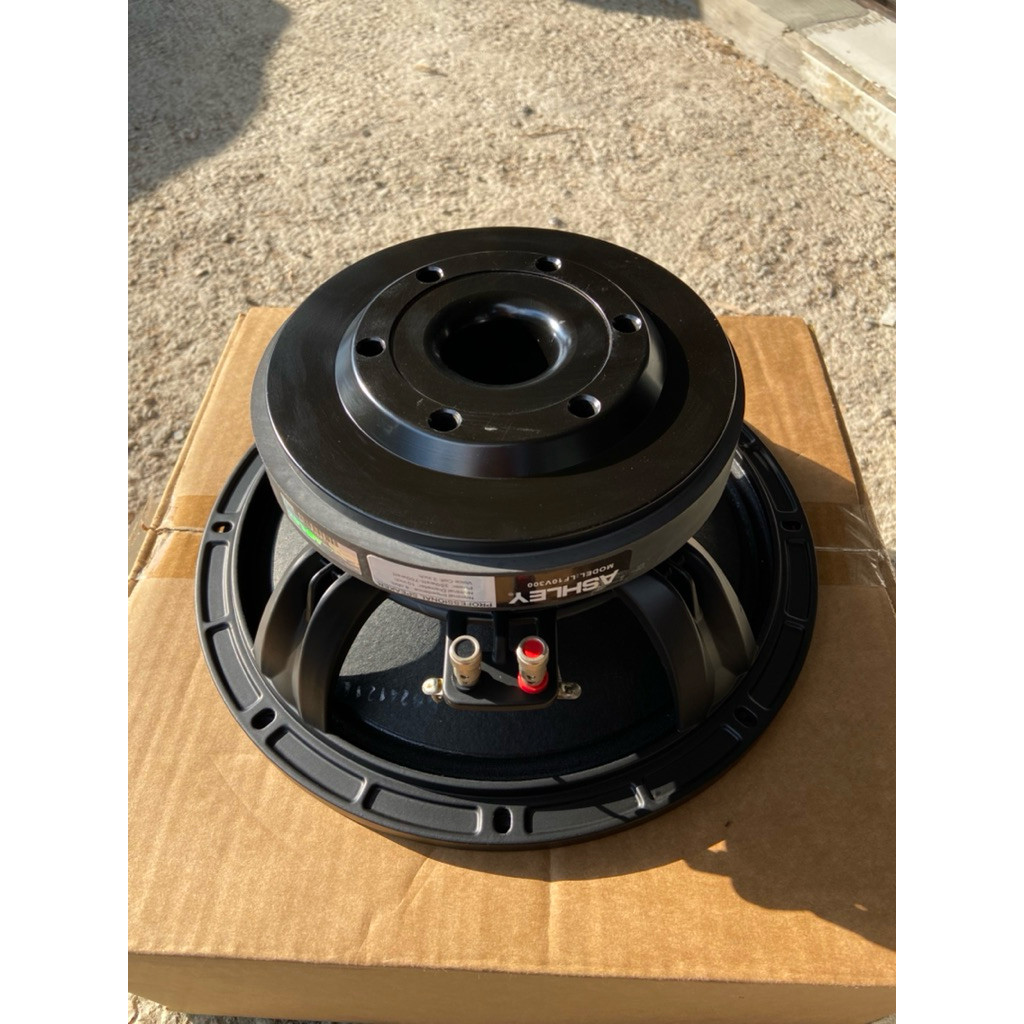 speaker ashley 10inch LF20V300 voice coil 3inch / speaker ashley 10inch