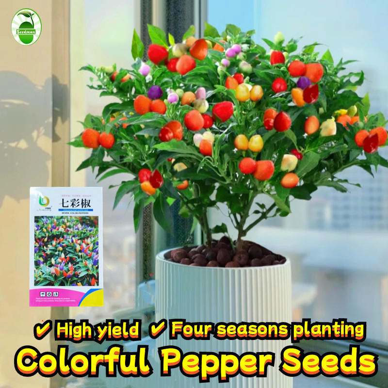High Yield Colorful Pepper Seeds for Sale (40 pcs/pack) Organic Hot Pepper Seeds Edible Ornamental P