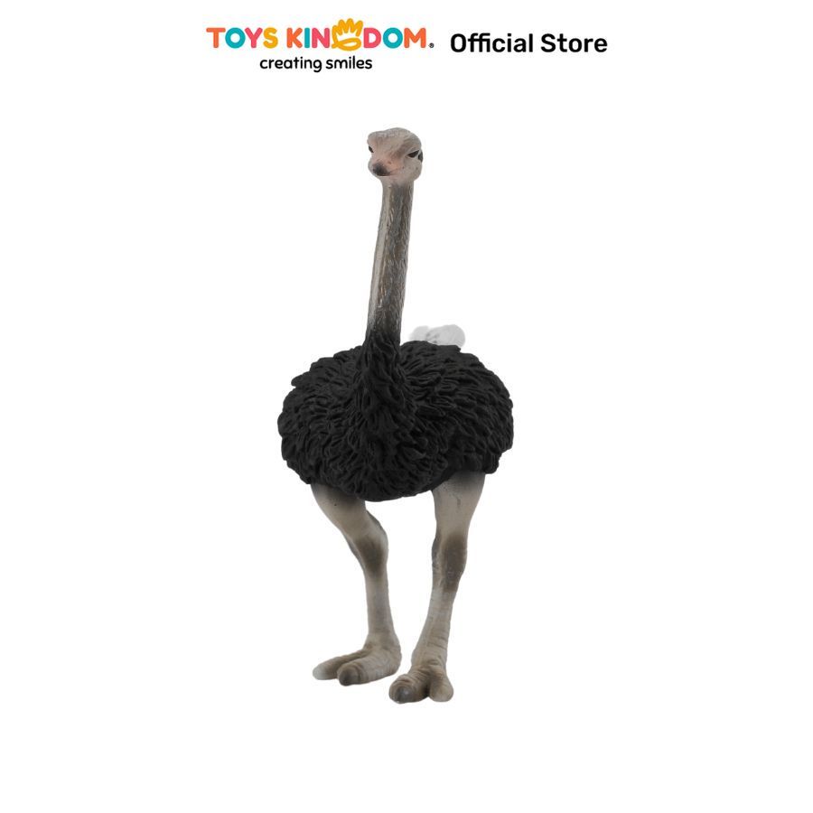 Toys Kingdom CollectA Figure Ostrich 88459 Toys Kids Toy Minifigur Miniatur Hewan Figure Hewan Maina