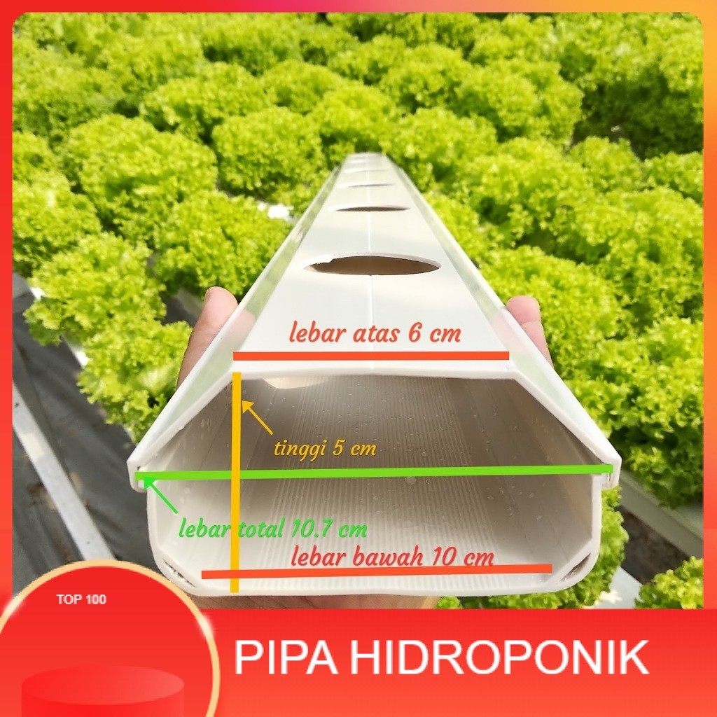 RUMAH HIDROPONIK/ PIPA HIDROPONIK Talang Air PVC Gully Trapesium Peralatan Hidroponik Berkebun Alat 