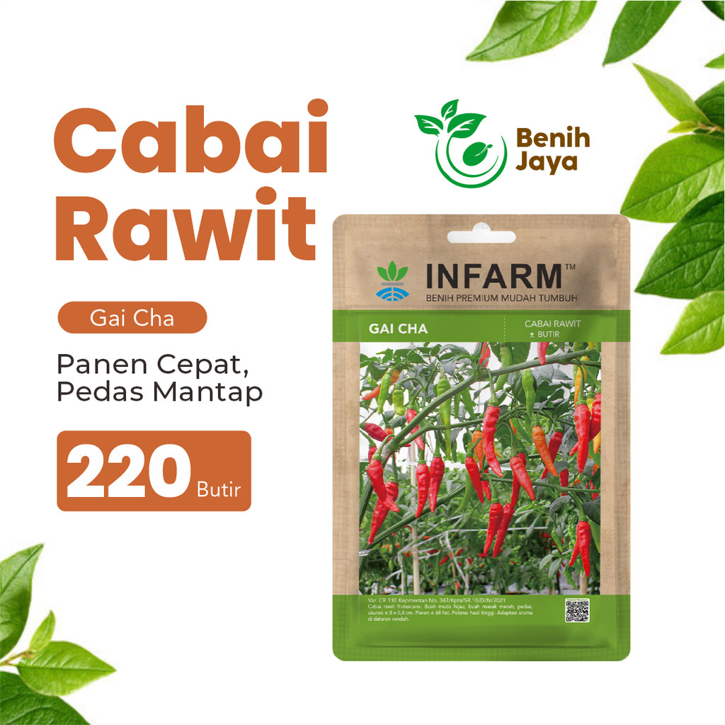 BENIH JAYA - Benih Cabai Rawit Gaicha, Benih Unggul Cabe Rawit Bibit Super Cabe Rawit Rasa Super Ped