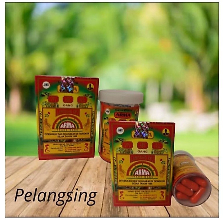 KAPSUL ARMA ORIGINAL OBAT PELANGSING HERBAL obat herbal pelangsing Arma langsing ayu