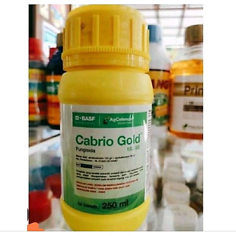 Cabrio gold 250ml