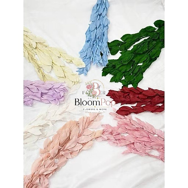 BLOOM_POP - RUSKUS DRIED FLOWER WARNA/BUNGA KERING - BUNGA KERING RUSKUS