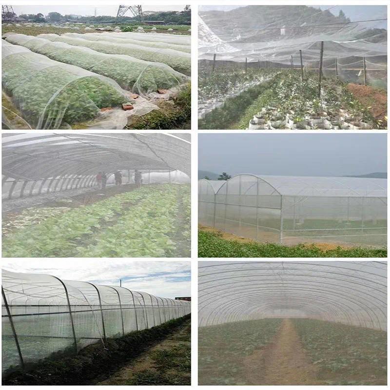 Protective fruit tree greenhouse vegetable insect net insect net garden vegetable plant net tunnel f