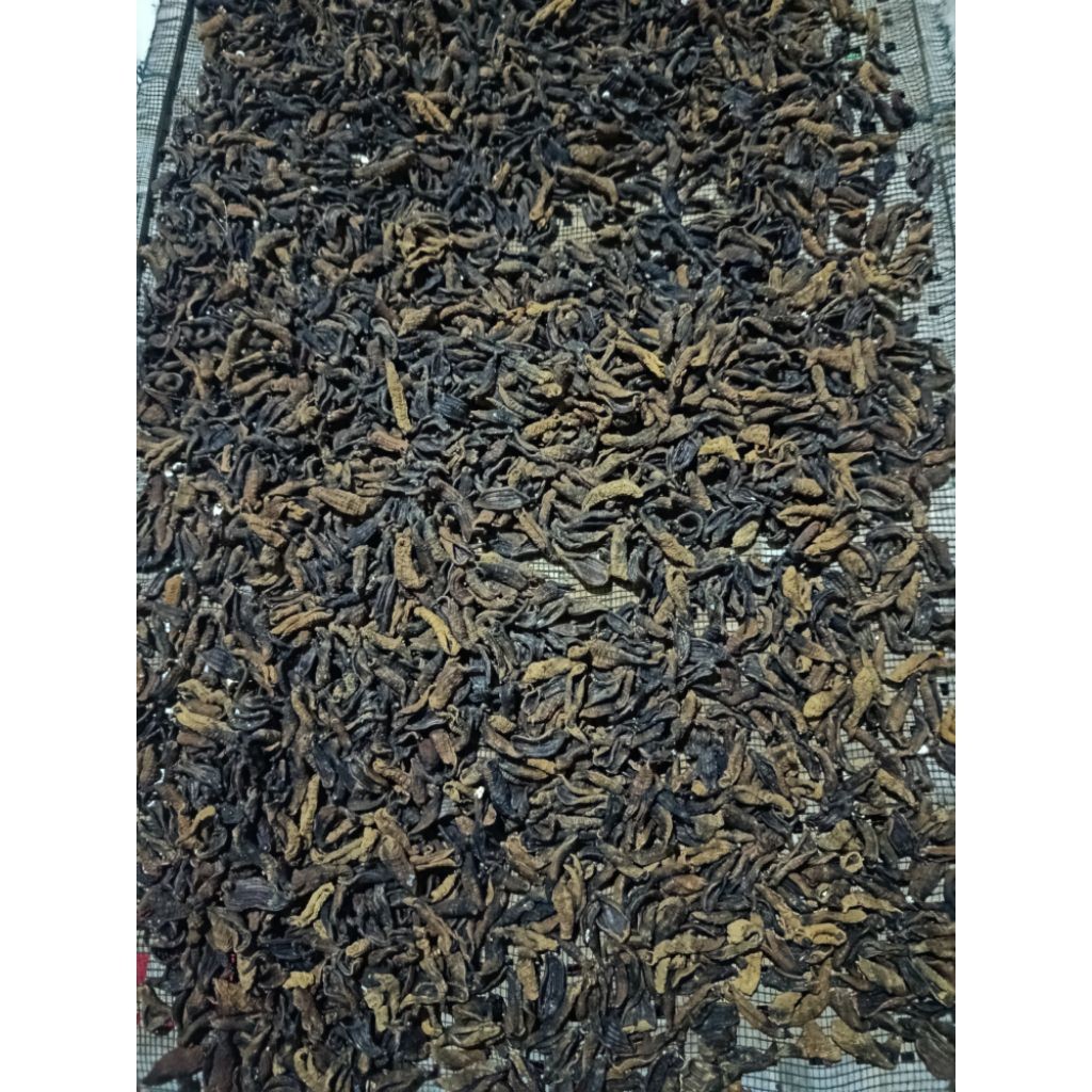 KERUPUK TERIPANG MENTAH 1kg    BERKUALITAS