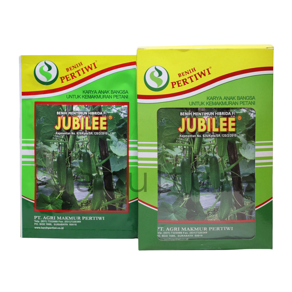 Benih Timun Mentimun JUBILEE Isi 25 Gram Benih Pertiwi
