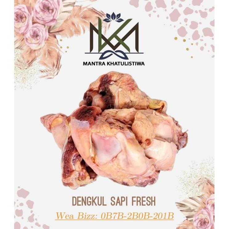DAGING TULANG DENGKUL SAPI TULANG KOYOR SAPI PATELLA
