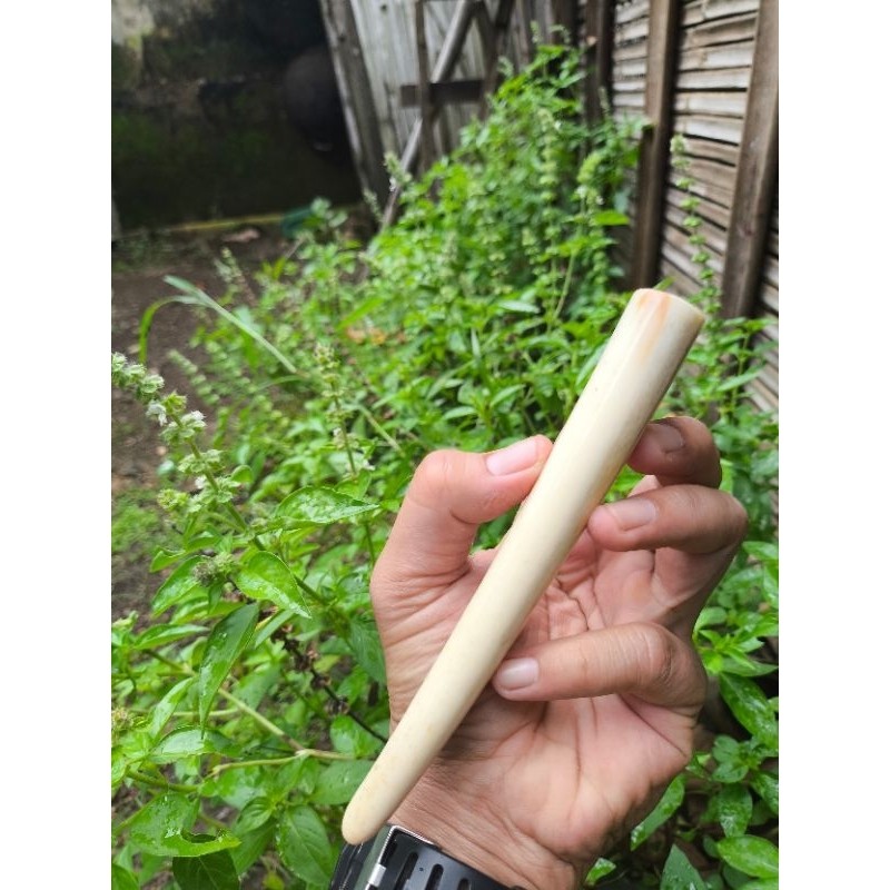 once marlin pipa Pipo moncong marlin super padat model delcuk bulat lengkung rasa adem pulen setara 