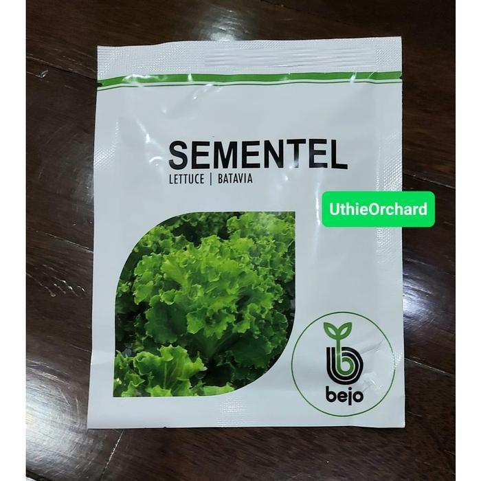 Sahabat Tani5 Benih Bejo Seed - Selada Batavia Sementel Kemasan 1000 pills - Sementel 1000p