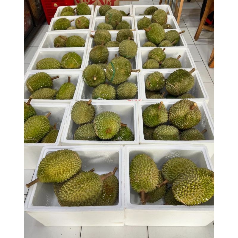 Durian Musangking premium utuh 1buah durian sultan musang king