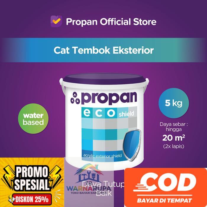CAT TEMBOK EXTERIOR PROPAN ECOSHIELD-5KG TINTING - WHITE 9101