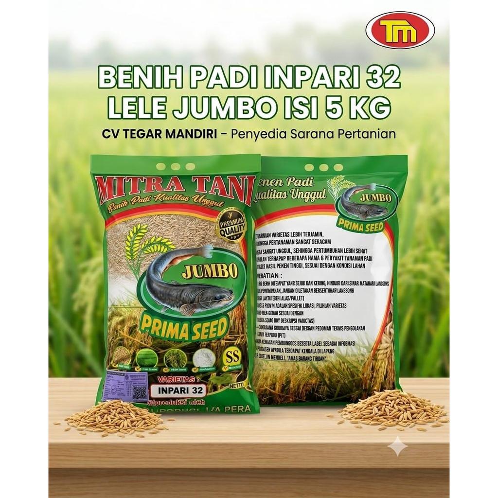 Benih Padi Inpari 32 Lele Jumbo 5 Kg | Benih Padi Unggul untuk Tanam