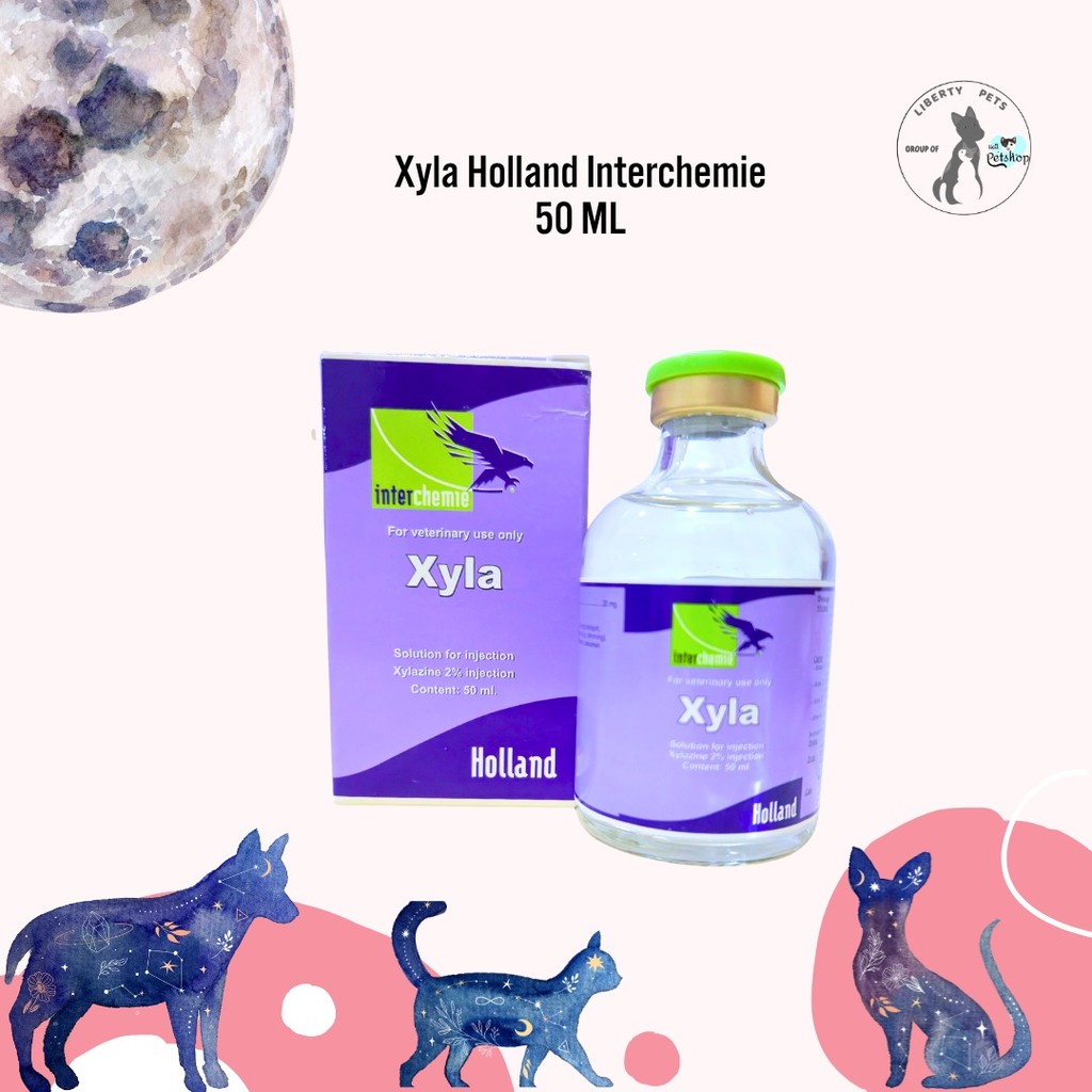 Xyla Holland Interchemie 50ml