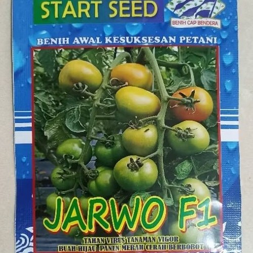 MAJAPUR  Bibit Benih Tomat Tahan Virus JARWO F1 Isi 5 Gram (±1750btr) START SEED Setara Servo/Gustav