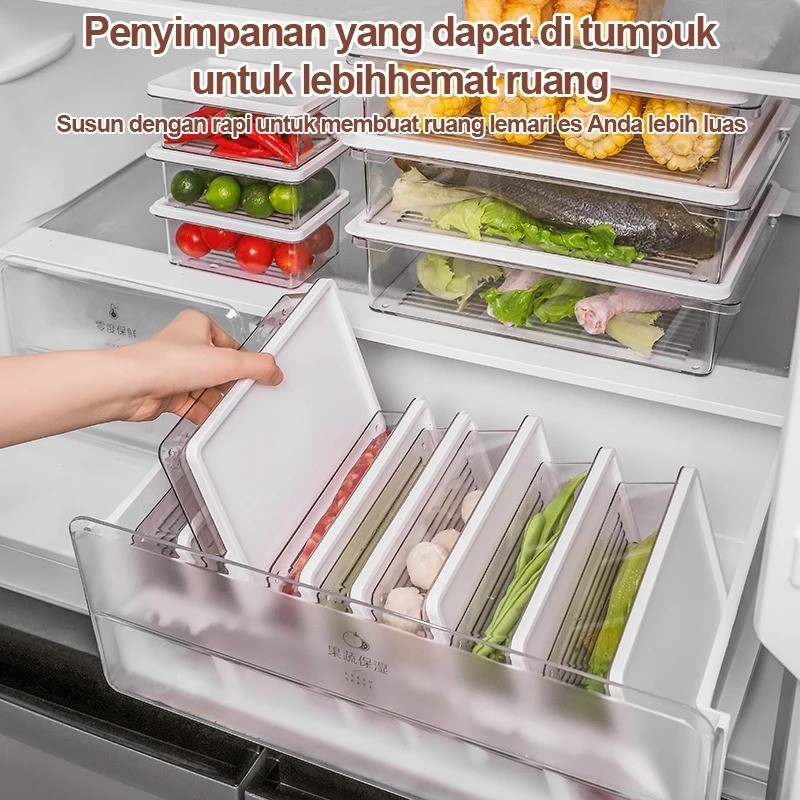 cuci gudang freshly food containers kotak makanan - food container kulkas premium - kotak